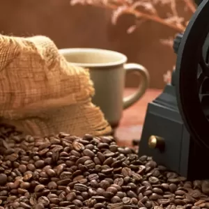 コーヒー豆の保存方法から人気の銘柄・健康効果について一挙紹介のサムネイル